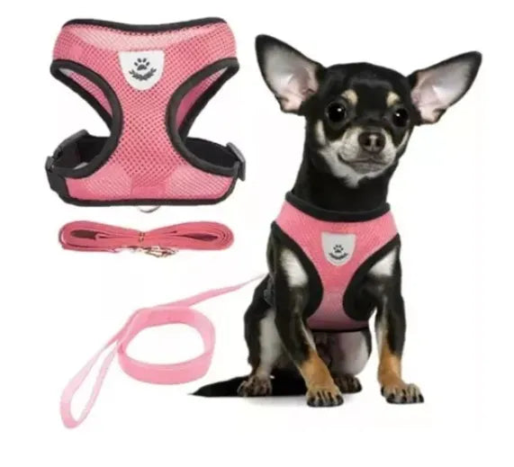 Kit Bebedouro Portátil Dog e Coleira Peitoral Para Cachorro e Gato