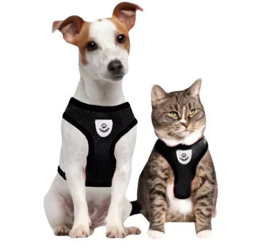 Kit Bebedouro Portátil Dog e Coleira Peitoral Para Cachorro e Gato
