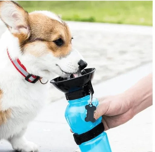 Kit Bebedouro Portátil Dog e Coleira Peitoral Para Cachorro e Gato