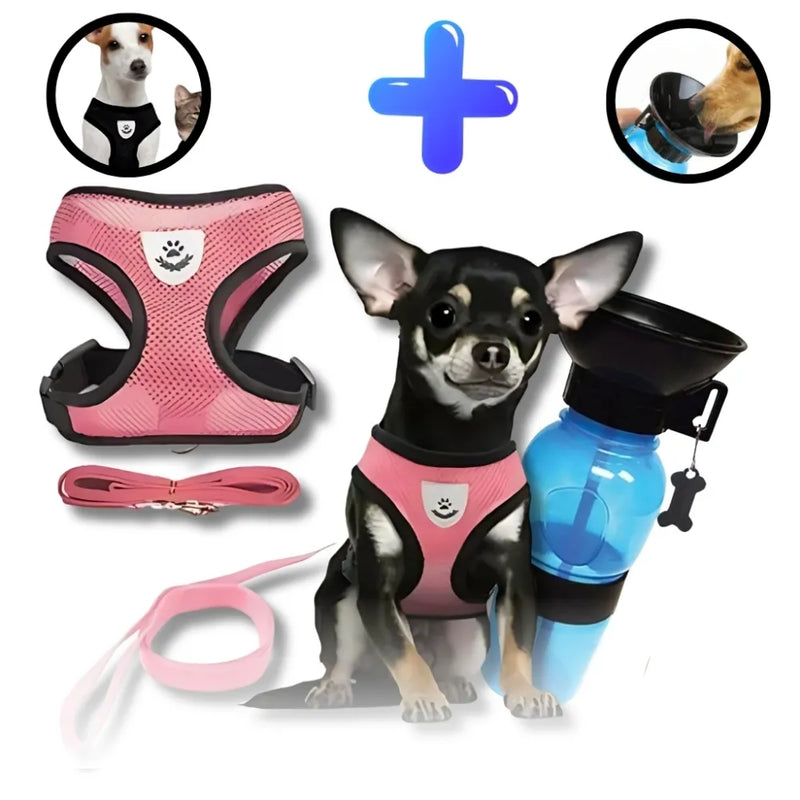 Kit Bebedouro Portátil Dog e Coleira Peitoral Para Cachorro e Gato